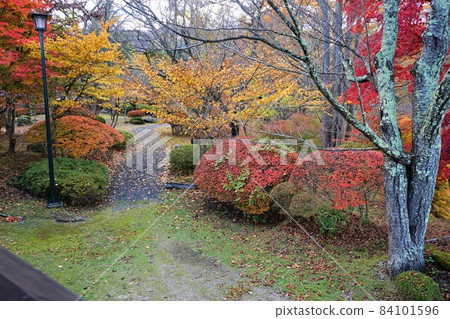 Ruins of Nabekura Castle in autumn colors Ruins of Nabekura Castle in autumn colors 84101596