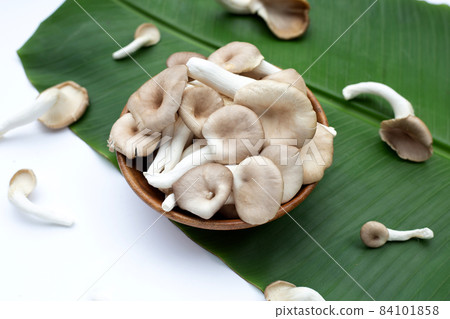 Fresh oyster mushroom in wooden bowl on banana leaf Fresh oyster mushroom in wooden bowl on banana leaf 84101858