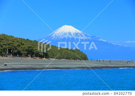 [靜岡縣] 富士山和美穗之松原 84102770