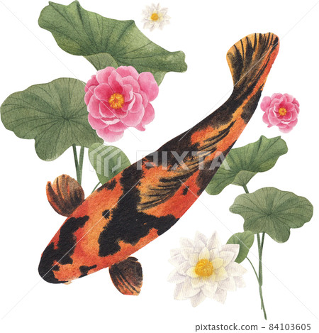 Oriental koi colorful floating carps backdrop, chinese goldfish. Asian traditional carp fish watercolor illustration Oriental koi colorful floating carps backdrop, chinese goldfish. Asian traditional carp fish watercolor illustration 84103605