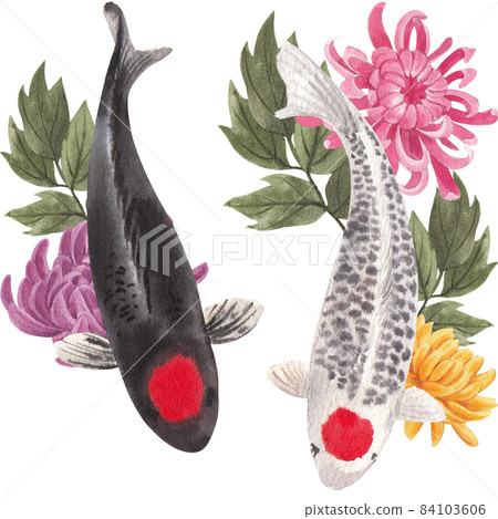 Oriental koi colorful floating carps backdrop, chinese goldfish. Asian traditional carp fish watercolor illustration Oriental koi colorful floating carps backdrop, chinese goldfish. Asian traditional carp fish watercolor illustration 84103606