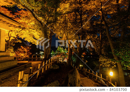 Kenrokuen Autumn Illumination Eisuyama 84103700