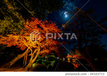 Kenrokuen Autumn Illumination and Moon 84103713