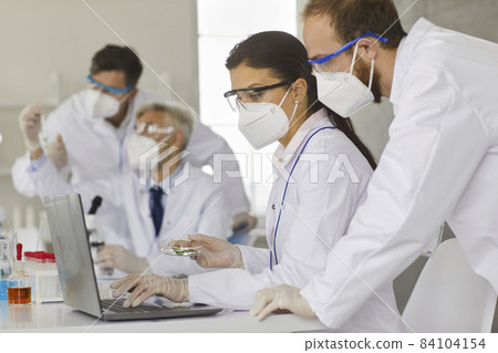 Scientists working together to analyze samples while working in a modern research laboratory. Men and women in protective masks study microorganisms in a petri dish by analyzing them on a laptop. Scientists working together to analyze samples while working in a modern research laboratory. Men and women in protective masks study microorganisms in a petri dish by analyzing them on a laptop. 84104154