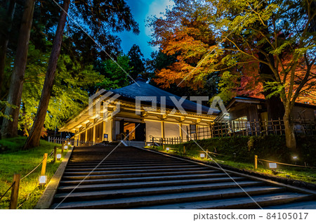 Illuminated Chusonji Konjikido (Hiraizumi Town, Iwate Prefecture) Illuminated Chusonji Konjikido (Hiraizumi Town, Iwate Prefecture) 84105017