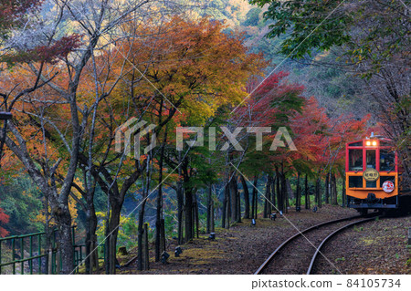嵯峨野電車和秋葉 84105734