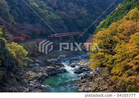 嵯峨野電車和秋葉 嵯峨野電車和秋葉 84105777