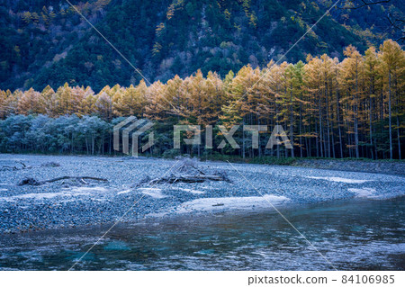 Kamikochi hiking in autumn colors: Autumn leaves of larch along the Azusa River Kamikochi hiking in autumn colors: Autumn leaves of larch along the Azusa River 84106985