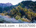 Autumn leaves Kamikochi hiking: Autumn leaves and rime on trees 84107000