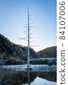 Kamikochi hiking in autumn colors: Taisho Pond at dawn 84107006