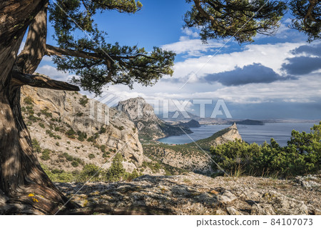 Pine tree and cape Kapchik in background. Beautiful landscape on black sea. Novyi Svit, Crimea, Sudak Pine tree and cape Kapchik in background. Beautiful landscape on black sea. Novyi Svit, Crimea, Sudak 84107073