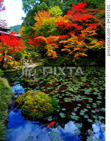 京都，南禪寺，秋天石 84107102