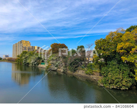 埼玉縣戶田市菖蒲河宅邸與黃葉 埼玉縣戶田市菖蒲河宅邸與黃葉 84108604