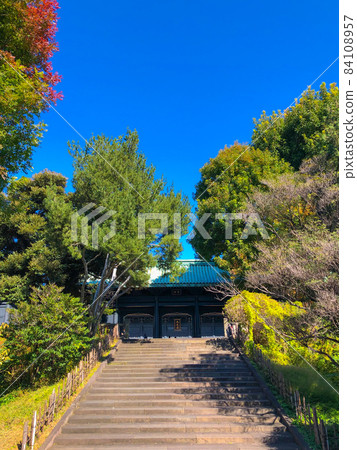 東京湯島 / 湯島神社 共談門 東京湯島 / 湯島神社 共談門 84108957