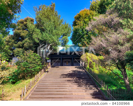 東京湯島 / 湯島神社 共談門 84108966