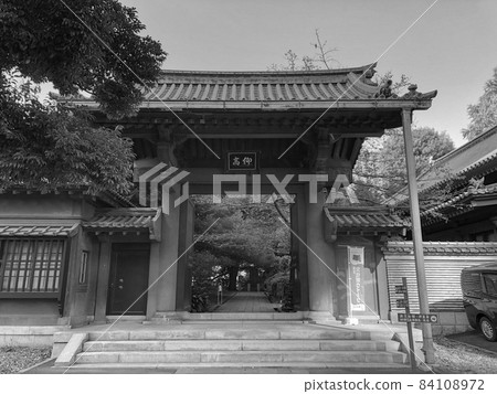 東京湯島/湯島神社高架門 東京湯島/湯島神社高架門 84108972