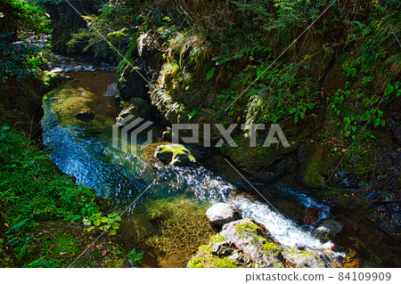 Abandoned road, abandoned bridge, abandoned tunnel 84109909