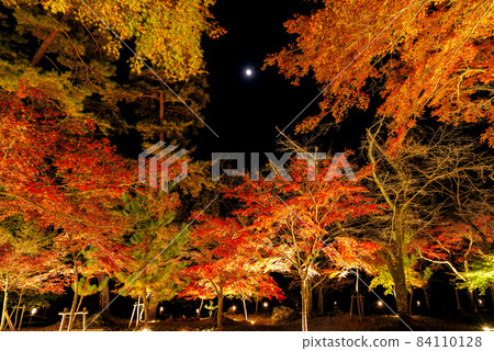 月亮和秋葉的照明·月之石紅葉公園[埼玉縣長瀞町] 84110128