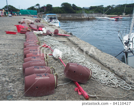 The octopus of the fishing port 84110427