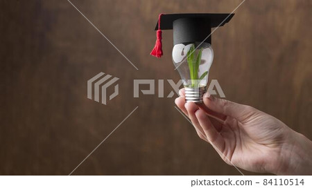close up hand holding light bulb with plant. High quality beautiful photo concept close up hand holding light bulb with plant. High quality beautiful photo concept 84110514
