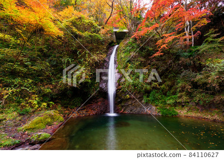 Chichibu Kagen Waterfall [Saitama Prefecture] 84110627