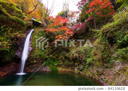 Chichibu Kagen Waterfall [Saitama Prefecture] 84110628