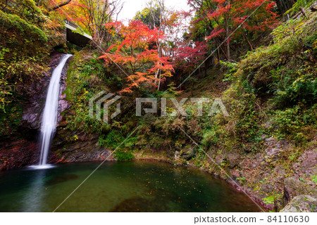 Chichibu Kagen Waterfall [Saitama Prefecture] 84110630