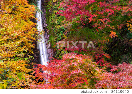 Chichibu Kagen Waterfall [Saitama Prefecture] 84110640