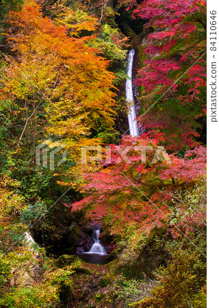 Chichibu Kagen Waterfall [Saitama Prefecture] 84110646