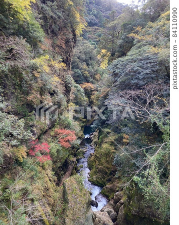 Autumn leaves in Nakaoi Valley, Ino Town, Kochi Prefecture Autumn leaves in Nakaoi Valley, Ino Town, Kochi Prefecture 84110990