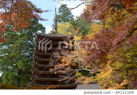 Autumn Story Mountain Shrine Tonomine, Sakurai City, Nara Prefecture Autumn Story Mountain Shrine Tonomine, Sakurai City, Nara Prefecture 84111169