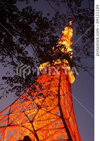 黃昏的東京塔 黃昏的東京塔 84111184