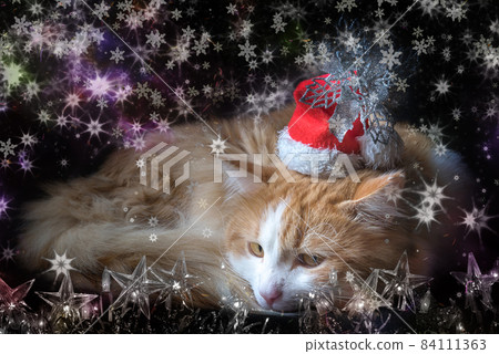 Cat lies comfortably curled in a red New Year's hat in the dark background with christmas garland and snowflakes, collage. Cat lies comfortably curled in a red New Year's hat in the dark background with christmas garland and snowflakes, collage. 84111363