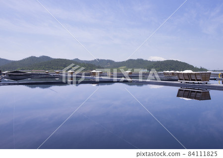 salt farm summer 84111825