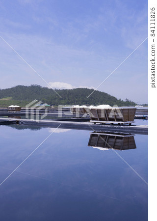 salt farm summer 84111826