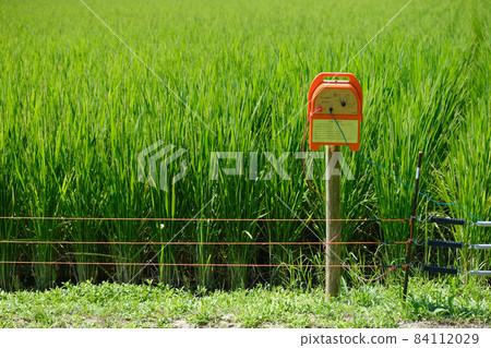 Measures against wild boar Measures against wild boar 84112029