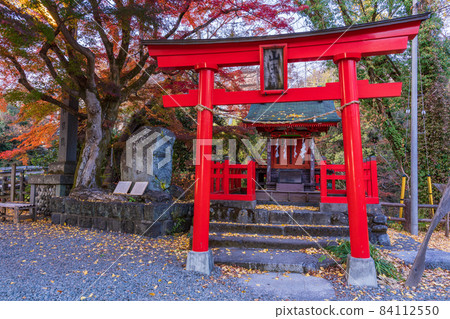 (Yamanashi Prefecture) Japan's Sankibashi, Saruhashi during the autumn colors 84112550