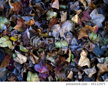 Dead leaf hangout Dead leaf hangout 84112975
