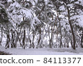 Snow Scenery of Samneung, Gyeongju 84113377