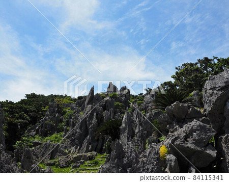 大石林山的風景(沖繩縣國頭郡國頭村) 大石林山的風景(沖繩縣國頭郡國頭村) 84115341