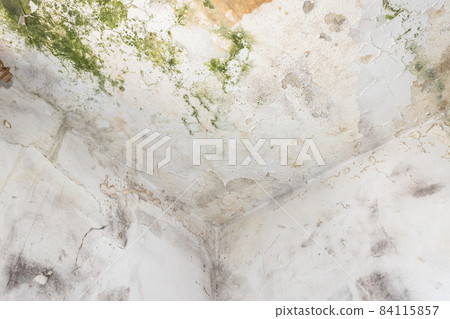 Ceiling with mold 84115857