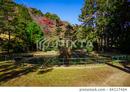 來自讚岐的琴平山 背面的靜秋葉(香川縣琴平町) 來自讚岐的琴平山 背面的靜秋葉(香川縣琴平町) 84117484