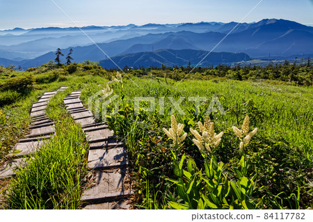 苗場山/神樂之山的藜麥和谷川山/尾瀨山方向的早晨 苗場山/神樂之山的藜麥和谷川山/尾瀨山方向的早晨 84117782