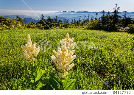 苗場山和神樂之山的藜蘆和越後三山方向的早晨山脈 苗場山和神樂之山的藜蘆和越後三山方向的早晨山脈 84117783