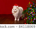 New Year, Christmas cat in Santa hat on background of a Christmas tree and lights 84118069
