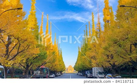 Tokyo Jingu Gaien Icho Namiki Tokyo Jingu Gaien Icho Namiki 84118711