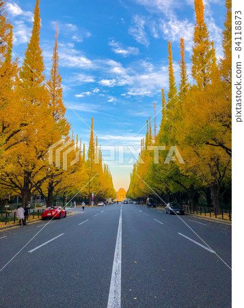 Tokyo Jingu Gaien Icho Namiki 84118873