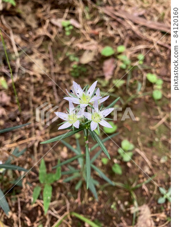 裝配 裝配 84120160