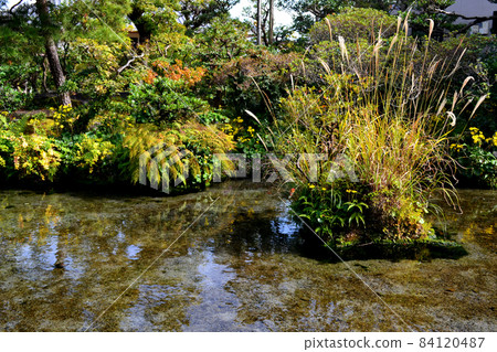 Shimabara City, where abundant spring water flows, spring water garden "Shimeiso" Shimabara City, where abundant spring water flows, spring water garden "Shimeiso" 84120487