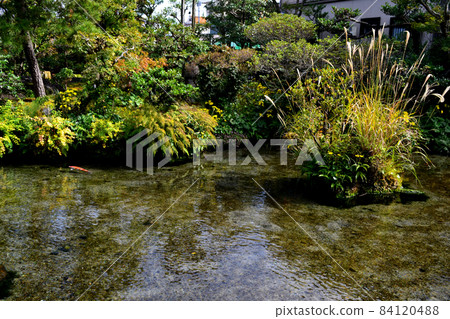 Shimabara City, where abundant spring water flows, spring water garden "Shimeiso" 84120488